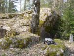 DSC00947.JPG
