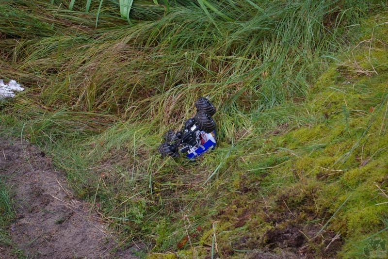 IMGP7567.JPG