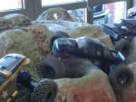 DSC04735.JPG