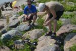 DSC_1531.JPG