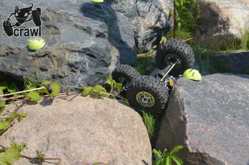 DSC_1548.JPG