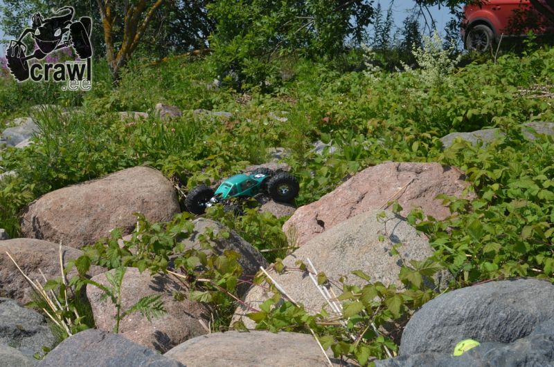 DSC_1549.JPG