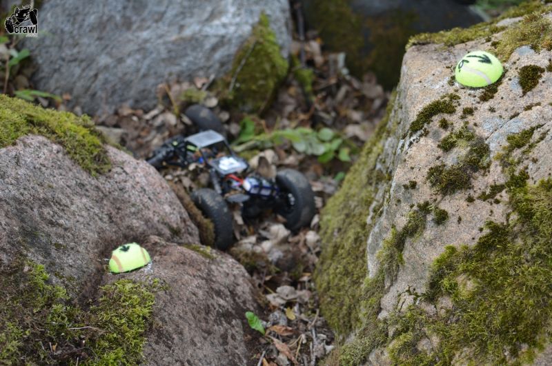 DSC_3467.JPG