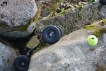 DSC_3482.JPG