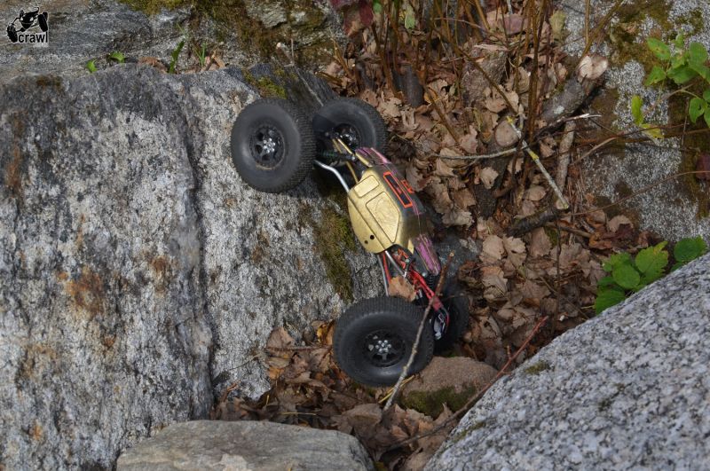 DSC_3497.JPG