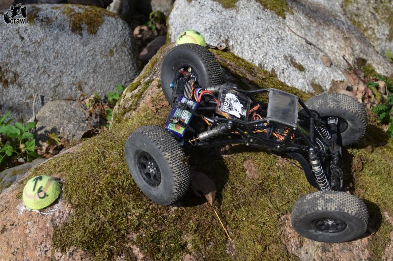 DSC_3503.JPG