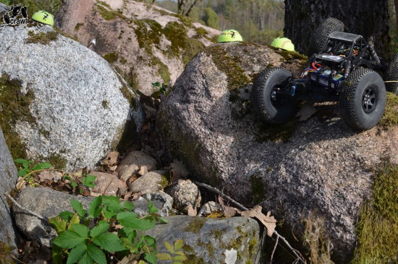 DSC_3504.JPG