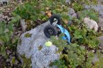 DSC_3520.JPG