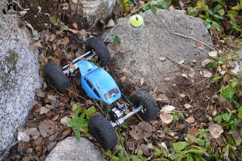DSC_3521.JPG