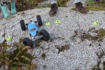 DSC_3527.JPG