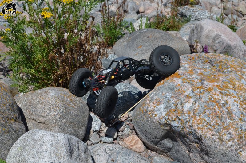 DSC_4579.JPG
