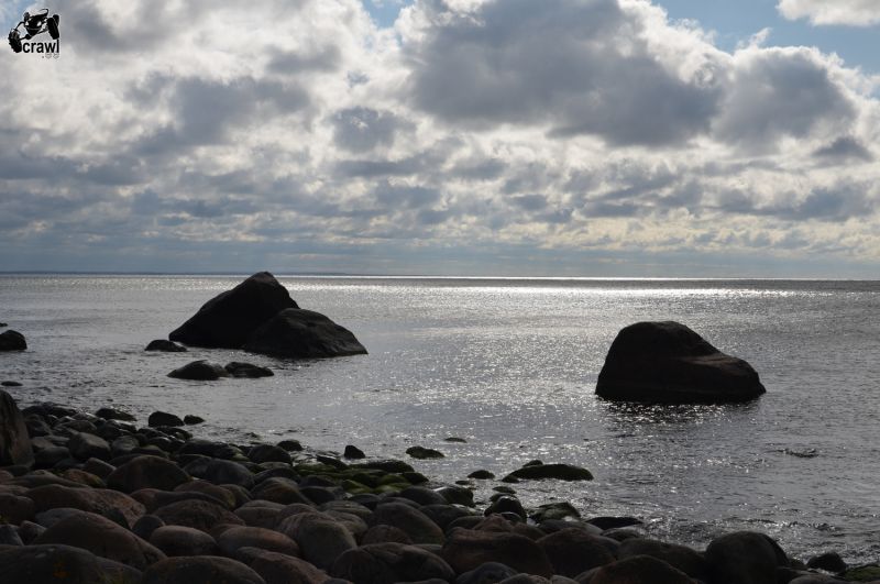 DSC_4784.JPG