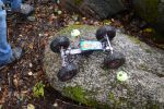 DSC_5473.JPG