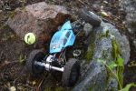 DSC_5490.JPG