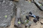 DSC_5734.JPG