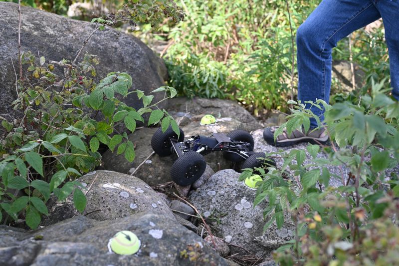 DSC_9273.JPG