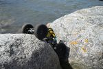 DSC_9329.JPG