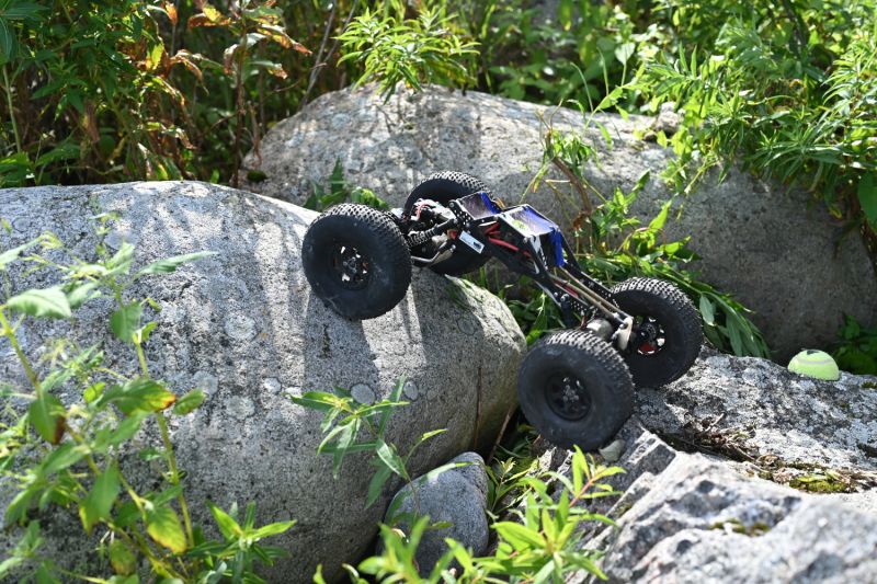 DSC_9331.JPG