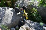 DSC_9347.JPG
