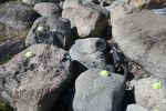 DSC_0251.JPG