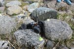 DSC_0252.JPG