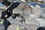 DSC_0269.JPG
