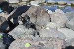 DSC_0270.JPG