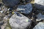 DSC_0273.JPG