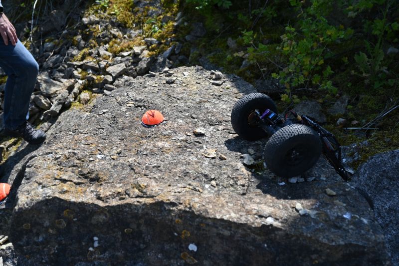 DSC_0600.JPG
