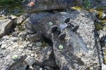 DSC_0616.JPG
