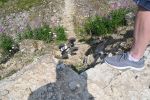 DSC_0645.JPG
